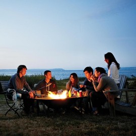 Skin So Soft Bug Guard Plus Picaridin Aerosol Spray