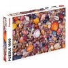 Piatnik "Seashells Puzzle Jigsaw (1000 Piece)