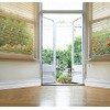 FIXPIX Royal Tulip Peel and Stick Wall Border Easy to