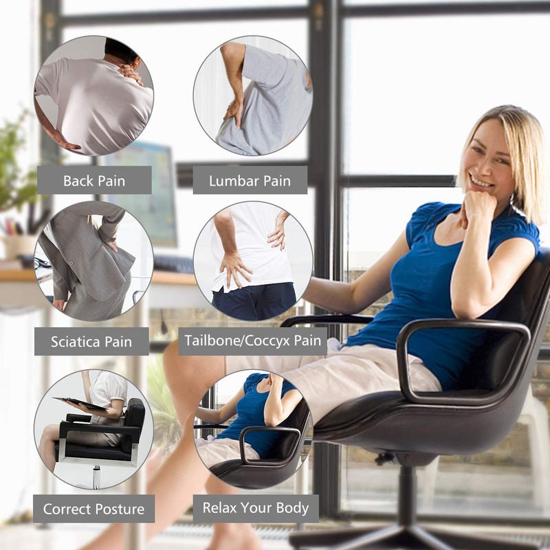 Aukee Lumbar Support for Car, Genuine Leather Memory Foam Pillow