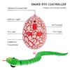 RC Snake Toy Retractable Tongue Swinging Tail Sliding Motion USB