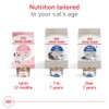 ROYAL CANIN, Indoor Adult, Croquetas para Gato, 1.36kg