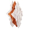 Vertbaudet Pack of 3 organic cotton changing cloths, globetrotters