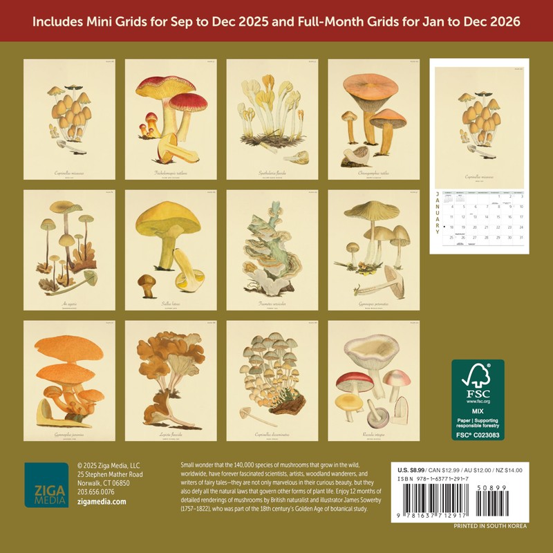 Mushroom Botanical Prints Mini Wall Calendar 2026 7" x 7"