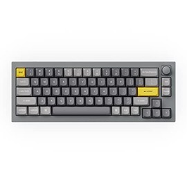 Keychron Q2 Wired 65% Mechanical Keyboard with Knob & RGB - Hot-Swappable Gateron G Pro Brown Switch, QMK/VIA Programmable, Double Gasket Mount, Aluminum Body for Mac/Windows/Linux (Grey)