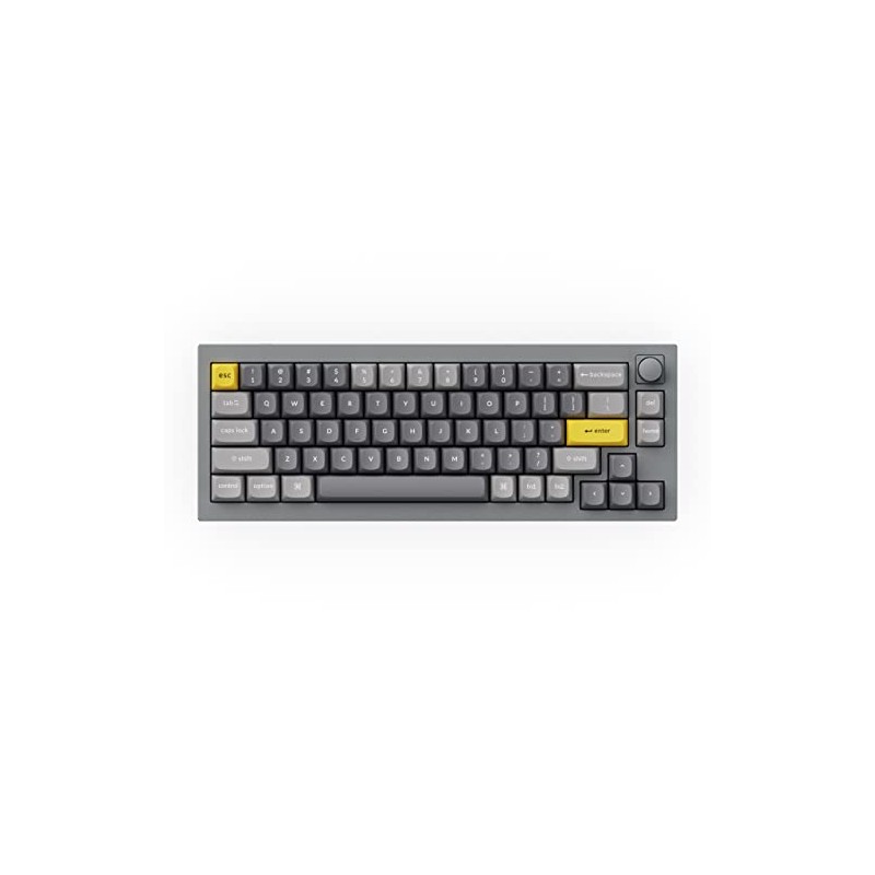 Keychron Q2 Wired 65% Mechanical Keyboard with Knob & RGB