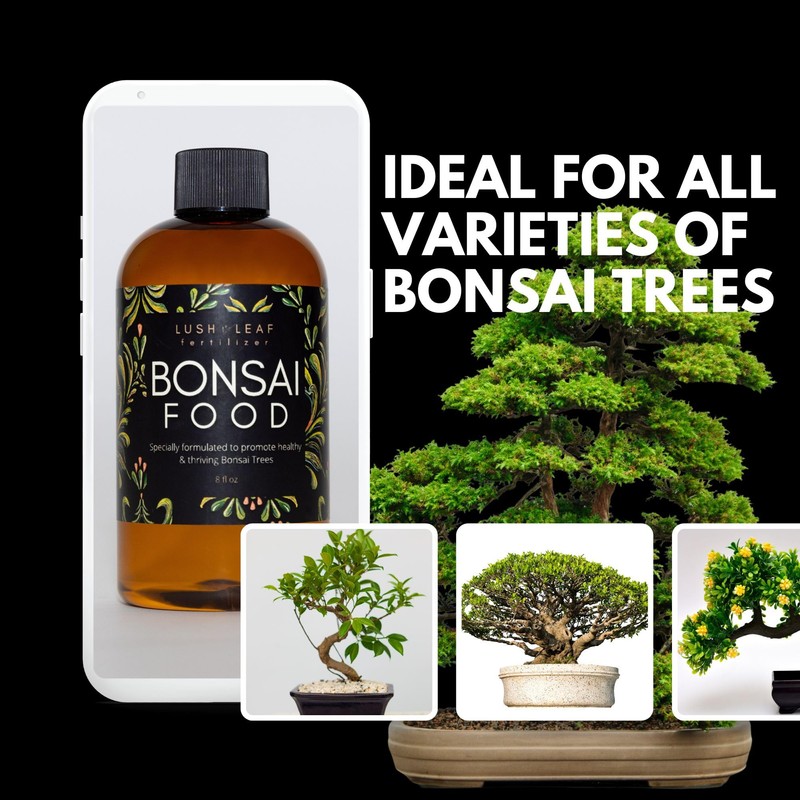 Lush Leaf | Plant Food (Bonsai)