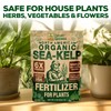 Organic Sea Kelp Fertilizer for Plants – Water-Soluble – Makes