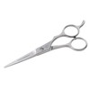 Tweezerman Stainless 2000 Styling Shears, 5.5 - Hair Scissors for