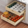 Pull Out Cabinet Organizer with Soft-Close Slides, 2 Tier 20''W×21''D×16''H