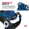 Tuff Pupper All-Day Wear Dog Harness | for Walking, Trail