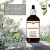 Asafoetida (Ferula Assa-foetida) Dry Herb Tincture, Made in Hawaii, Raw