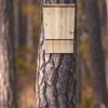 Relaxdays Bat Box Large Shelter for Bats Made of Untreated
