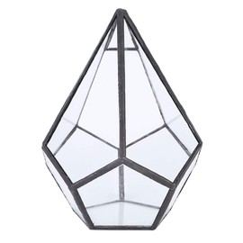 Akozon Geometric Glass Succulent Terrarium - Mini Greenhouse Flower Pot for Micro Landscapes - 12 x 12 x 14 cm - for Home and Office Decoration