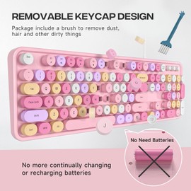 Dilter Wired Keyboard, 104 Keys Full-Sized Typewriter Keyboards, USB Plug and Play Office Keyboard with Number Pad, Caps Indicators, Foldable Stands for Windows, PC, Laptop (Pink Colorful)