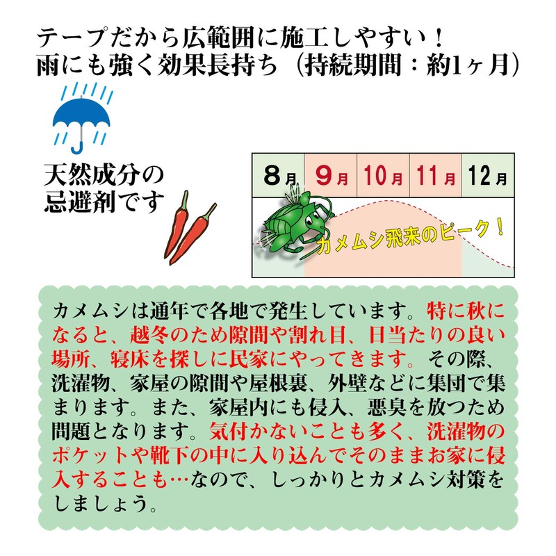 Home Chemical Rye Grass No. Tape 30 mm X 10