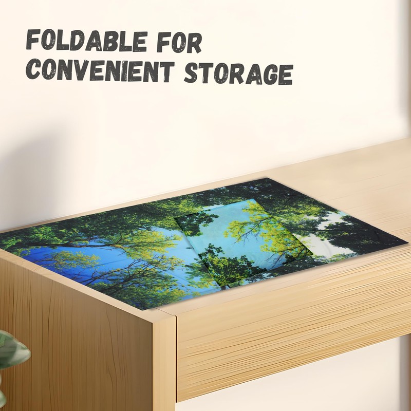 4 Pack Fluorescent Light Cover with 4 x 2 Feet