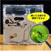 MIMIA Ant Nest Observation Kit (Sands and Ants Sold Separately),