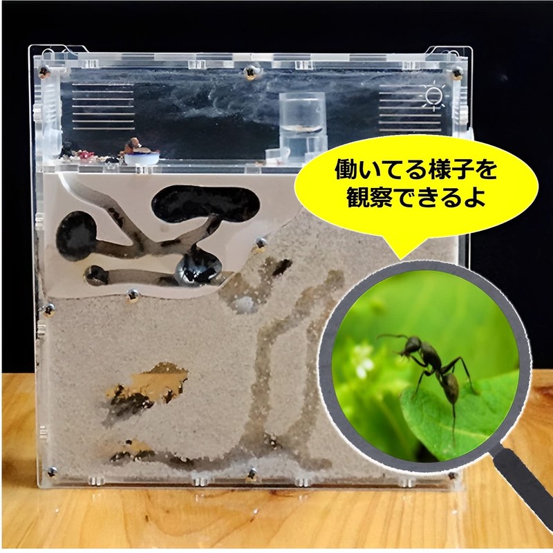 MIMIA Ant Nest Observation Kit (Sands and Ants Sold Separately),