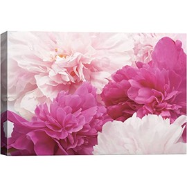 SIGNWIN Canvas Wall Art Bouquet of Blush Pink, Red and White Peony Floral Flower Photography Modern Art Romantics Closeup Duotone for Living Room, Bedroom, Office - 16x24 inches