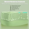 TISHLED Bow Split Ergonomic Keyboard Wireless with Cushioned Wrist &