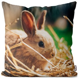 VOID Osternest Hase Osterhase Kissenbezug 80x80 Kissenhülle Polyester Zierkissen Couchkissen Ostern Osterdeko Deko, Kissen Größe:80 x 80 cm