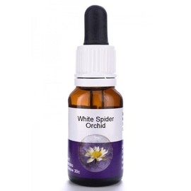 Living Essences White Spider 50ml