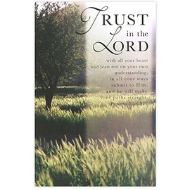 Salt & Light Trust In The Lord - Field Church Bulletins, 8 1/2 x 11 inches, 100 Count