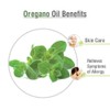 Crysalis Oregano (Origanum vulgare) Essential Oil | Skin Brightening, Hair