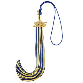 2025 Tassel Graduation, Graduation Tassel 2025 with 2025 Year Charm, 9" Size, Premium Silk Thread & Metal Charm, Commemorative Keepsake for Class of 2025 (Blue Gold)