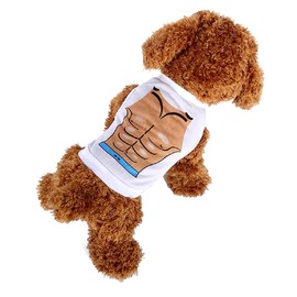 Lovelegis Bodybuilder costume - Print - Bust - Muscular - Bodybuilding - Athletic physique - Muscles - dog - L - Gift idea for Christmas and birthday