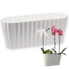 Plastia Triola Orchid Box, White