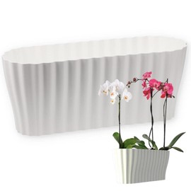 Plastia Triola Orchid Box, White