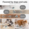 YoPoll Interactive Cat Toys Ball for Indoor Cats Electric Chirping