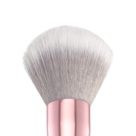 wet n wild (2 Pack) wet 'n wild Pro Brush Line Blush Brush