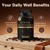 High Flavanol Cocoa Powder Supplement | 1200mg Flavanols Complex for
