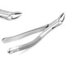 PRECISE CANADA: Dental EXTRACTING Forceps #151 PC