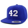 Number 42 Collegiate Varsity Font Embroidered Flat Bill Snapback Cap