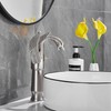 GGStudy Brushed Nickel Swan Shape Single Handle 1Hole Bathroom Vessel