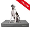 Replacement Outer Cover (No Mattress) for The Dog's Bed Orthopaedic,