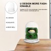 Angoily Decorative Glass Display Dome Cloche- 6in Height Clear Cloche