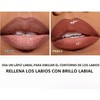 Lápiz de Labios y Pintalabios Líquido 2 en 1 con
