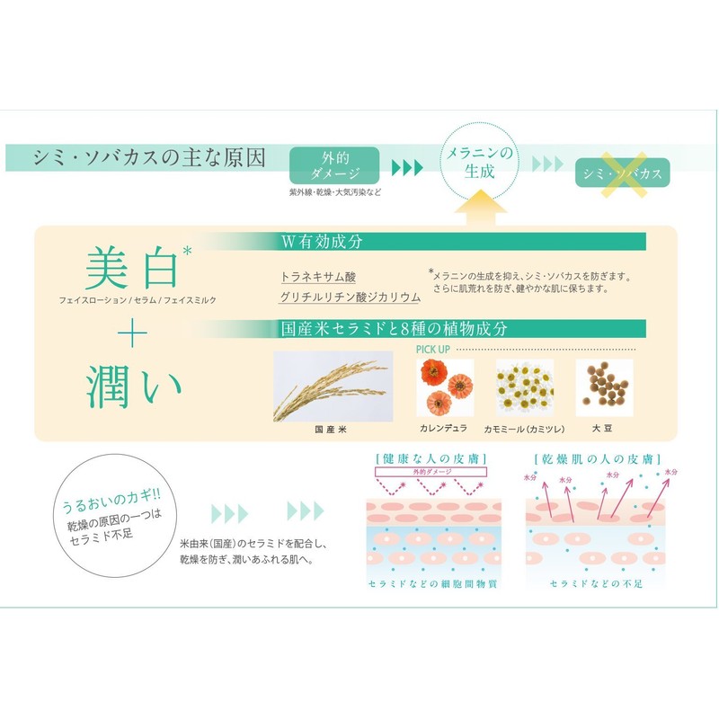 メデル ナチュラル 薬用 ホワイトフェイスウォッシュ ワイルドローズアロマ 130g 【医薬部外品】