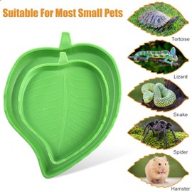 Hi.FANCY Leaf-Shaped Plastic Reptile Feeding Dish, 2 Sizes, Easy to Clean, Suitable for Tortoises, Lizards, Hamsters, Snakes