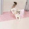 Uross Carpet Protector for Pets - Random Color Cat Carpet