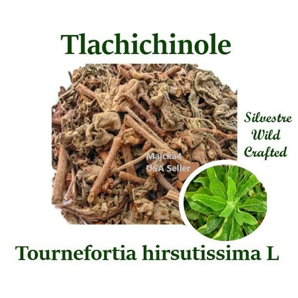 TLACHICHINOLE (ovariton) 4 oz. Hierbas Tournefortia hirsutissima L Women herbs