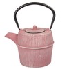 Creative Home Kyusu Cast Iron Pot Tea Kettle with Removable