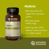 Nature's Sunshine Mullein, 100 Capsules