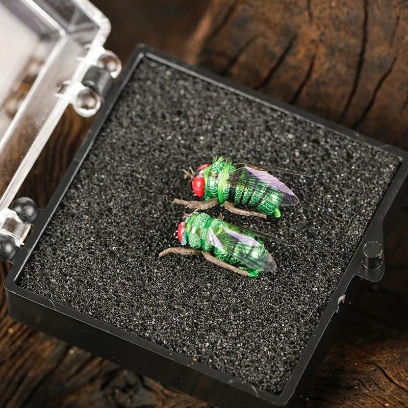 OriGlam 2pcs Trout Lure Fly Fishing Realistic Fly Flyfishing Lures,
