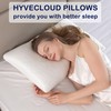 HYVECLOUD Shredded Memory Foam Pillows for Deep Sleep Bed Pillow